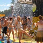 bonnaroo3