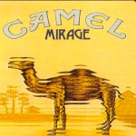 camel