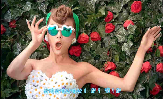 Wang Rong Rollin - Chick Chick