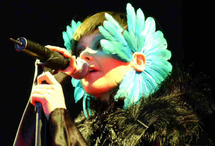 Björk_-_Hurricane_Festival