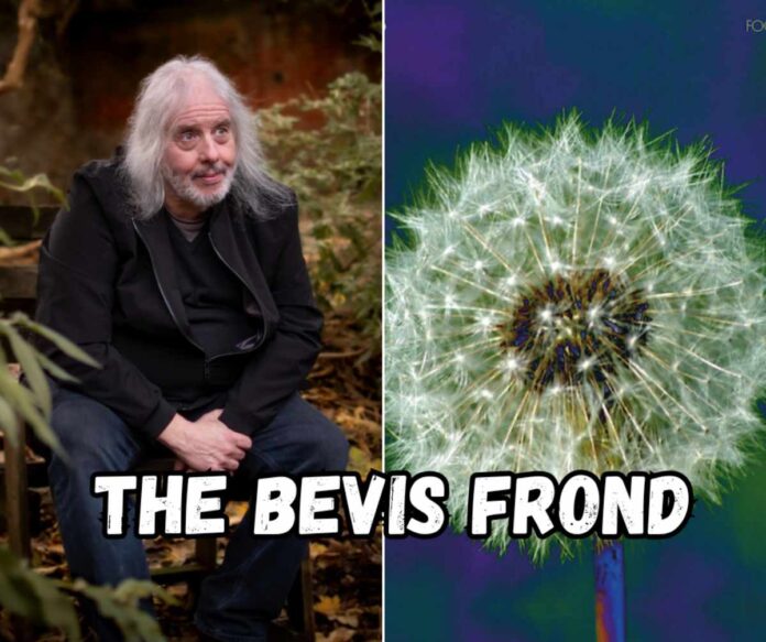 The Bevis Frond Focus On Nature