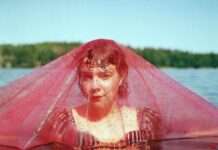 Sara Parkman – Aster atlas, la recensione del disco Sara Parkman - Aster atlas, la recensione del disco